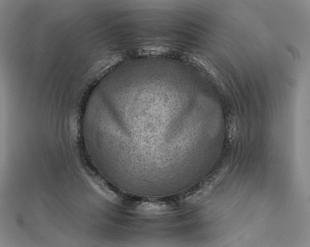 X0000112770455200909031614