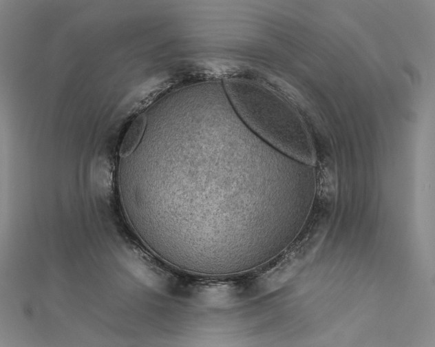 X0000112770456200909031614