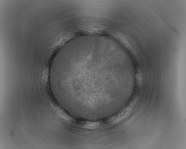 X0000112770458200909031614