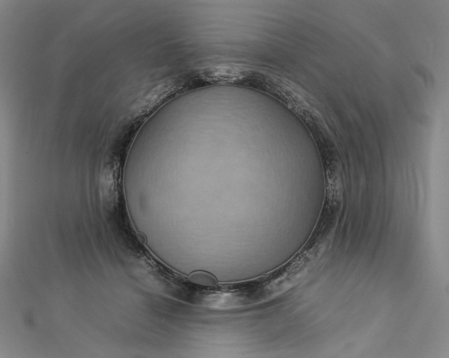 X0000112770460200909031614