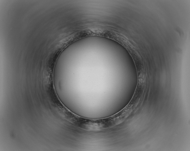 X0000112770464200909031614