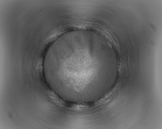 X0000112770466200909031614