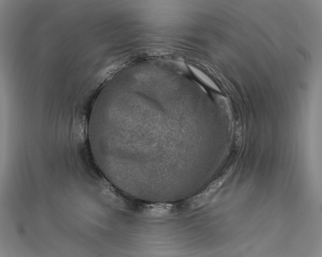 X0000112770474200909031614