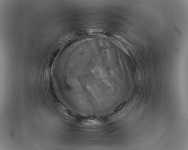 X0000112770475200909031614