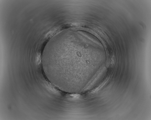 X0000112770478200909031614