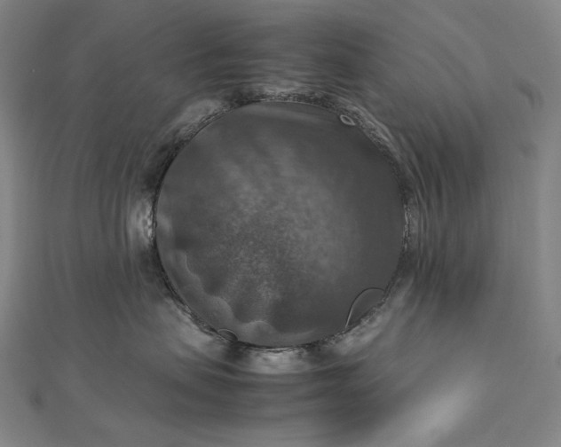 X0000112770479200909031614