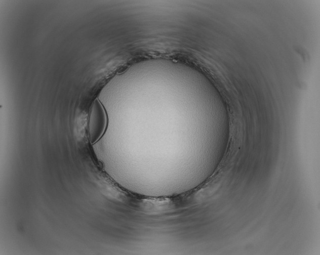 X0000112770480200909031614