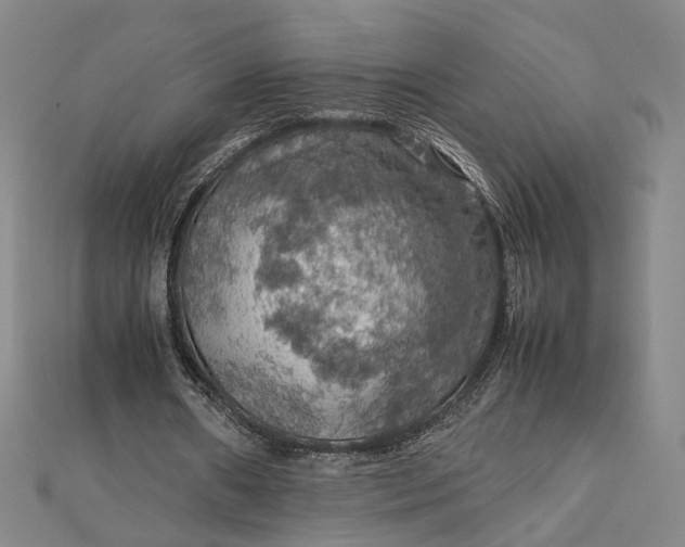 X0000112770482200909031614