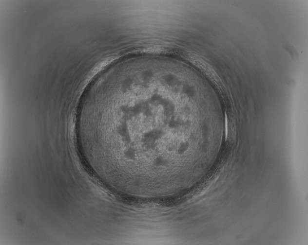 X0000112770483200909031614