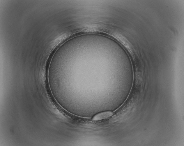 X0000112770485200909031614