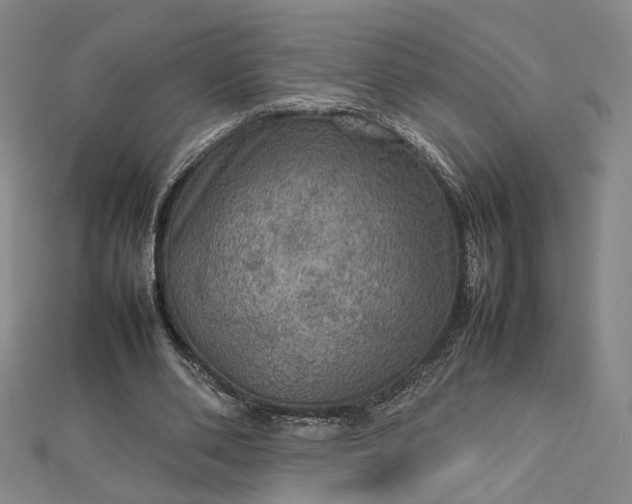 X0000112770486200909031614