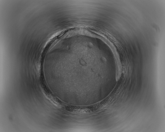 X0000112770488200909031614