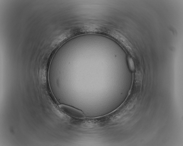 X0000112770489200909031614