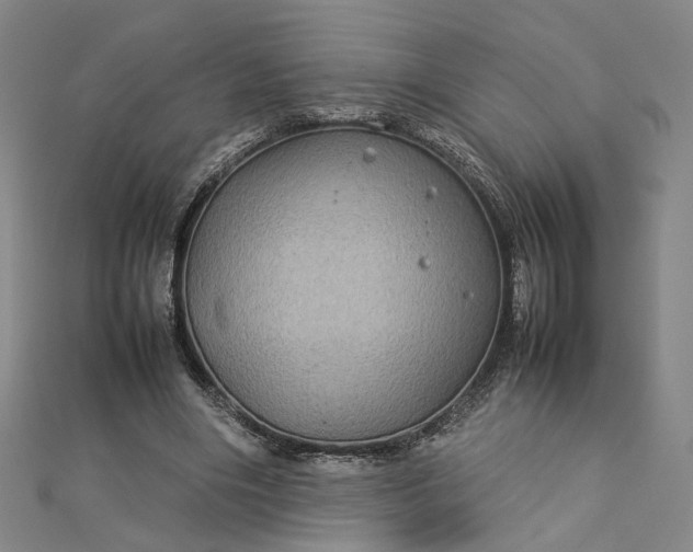 X0000112770490200909031614