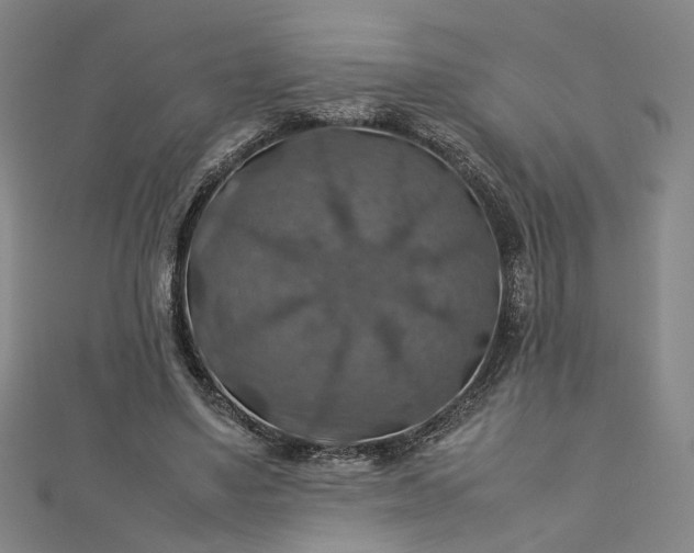 X0000112770491200909031614