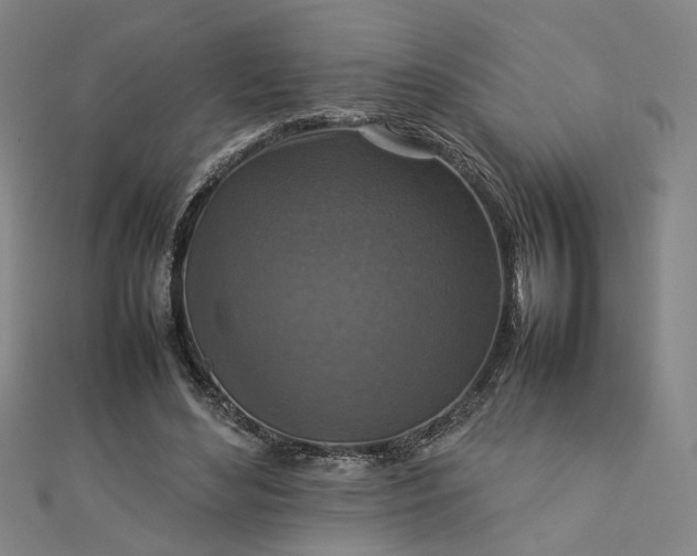 X0000112770492200909031614