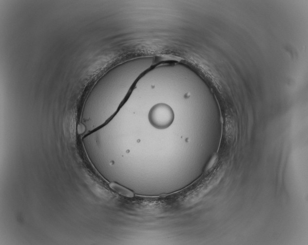 X0000112770493200909031614