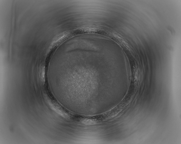 X0000112770494200909031614