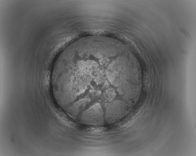 X0000112770495200909031613