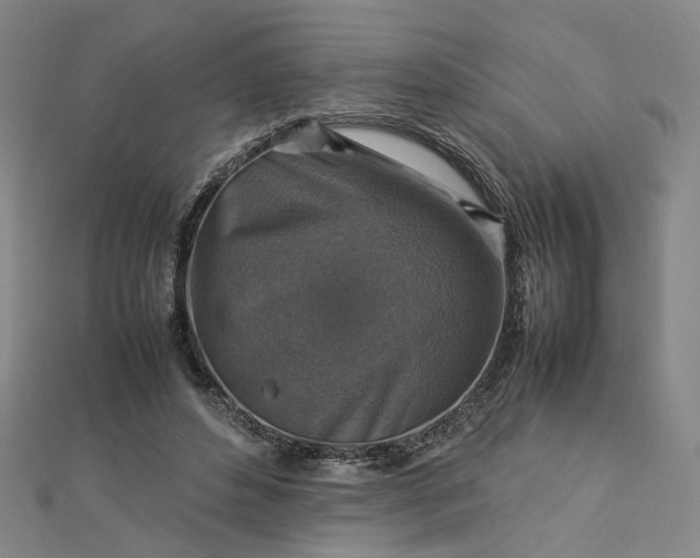 X0000112770496200909031613