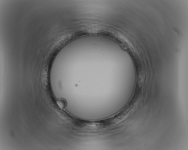 X0000112770497200909031613