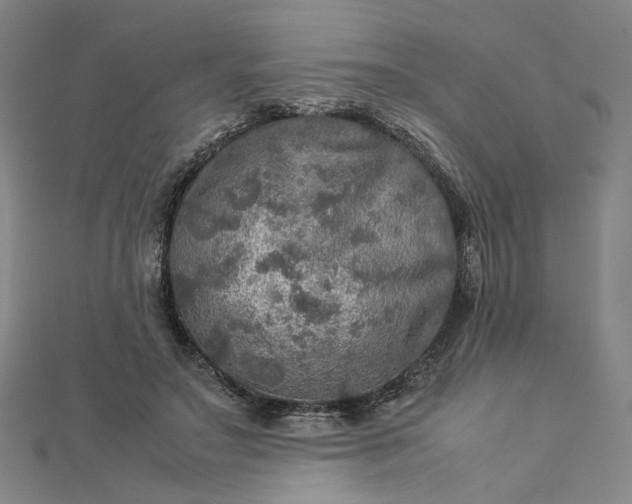 X0000112770499200909031613