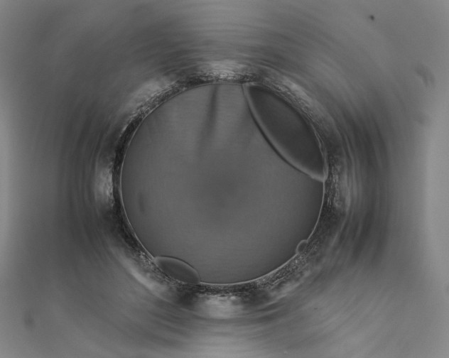 X0000112770500200909031613