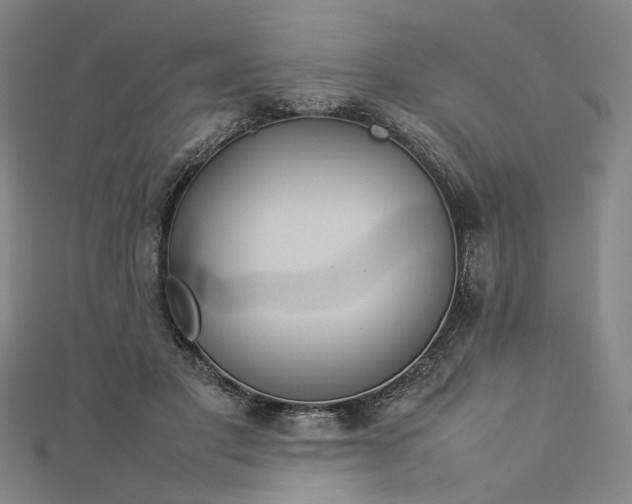 X0000112770501200909031613