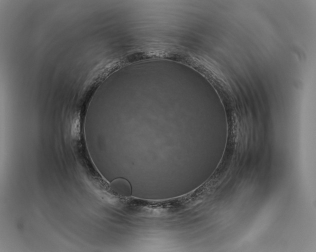 X0000112770502200909031613