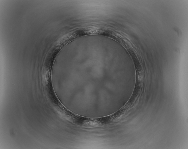 X0000112770503200909031613