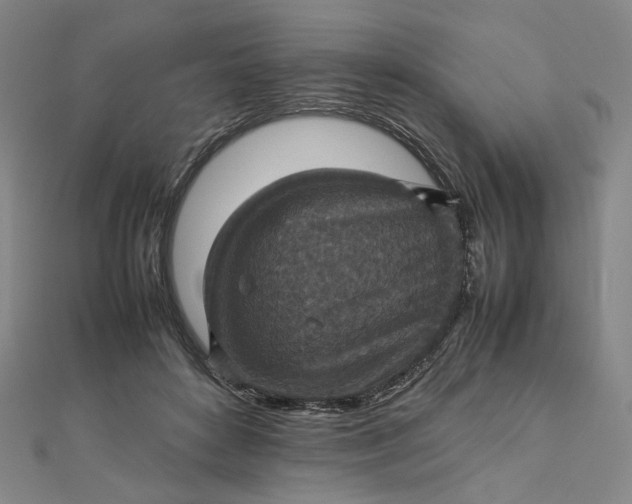 X0000112770504200909031613