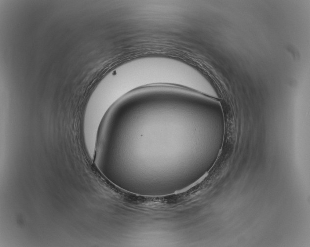 X0000112770505200909031613