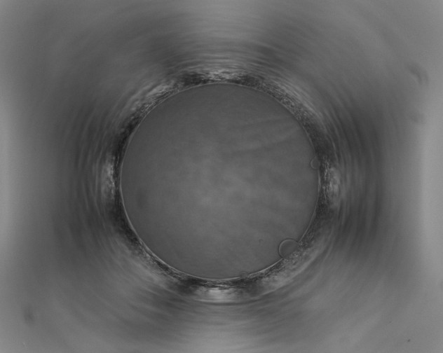 X0000112770506200909031613