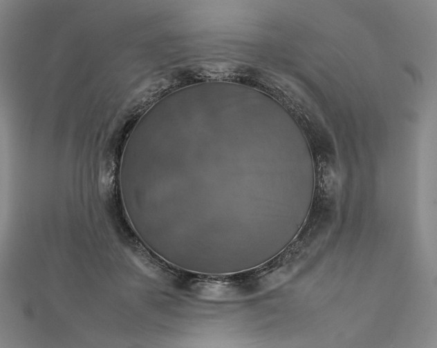 X0000112770507200909031613