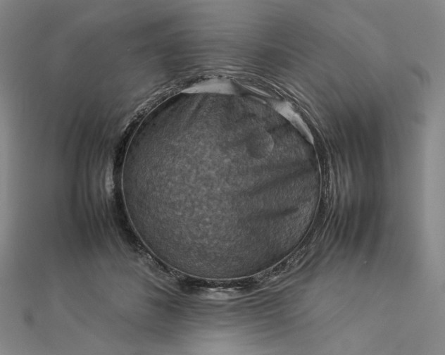 X0000112770508200909031613