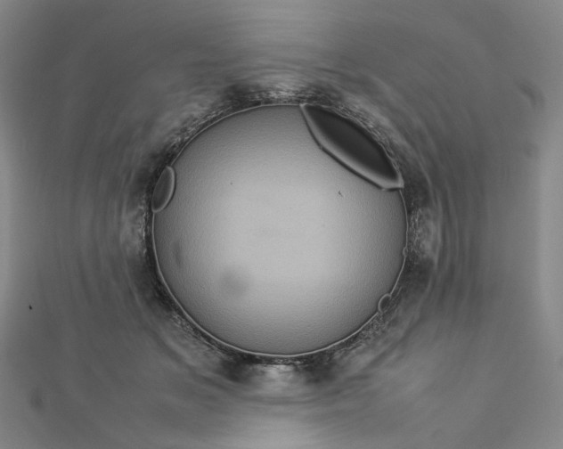 X0000112770509200909031613