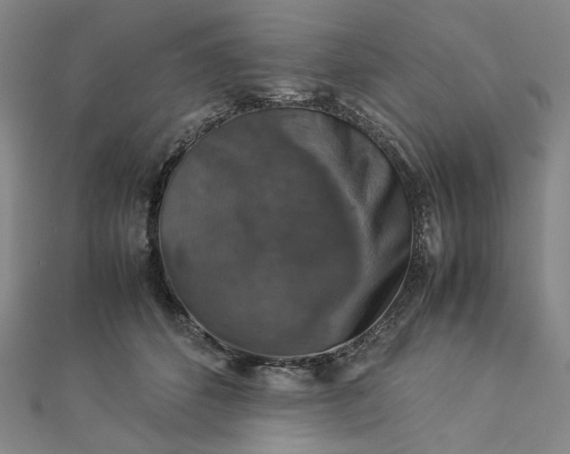 X0000112770512200909031613