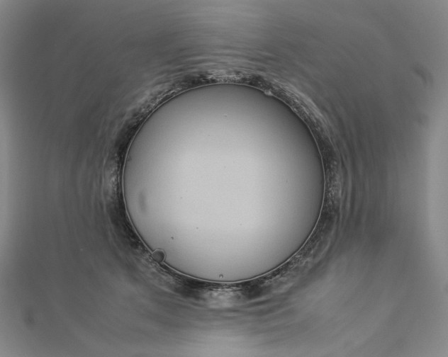 X0000112770513200909031613