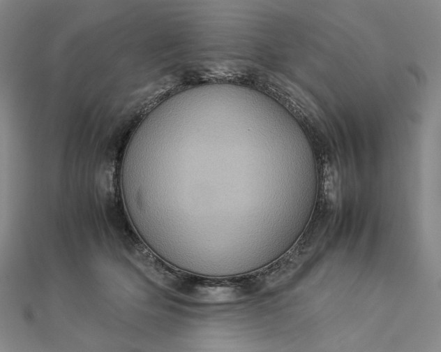 X0000112770514200909031613