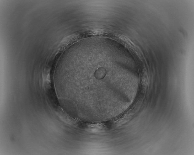 X0000112770516200909031613