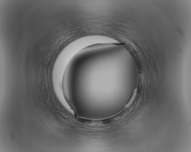 X0000112770517200909031613