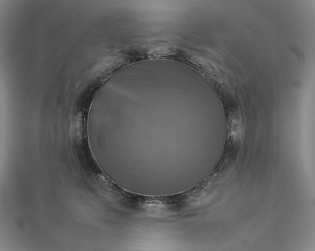 X0000112770519200909031613