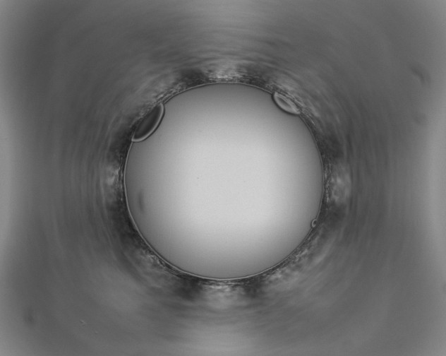 X0000112770521200909031613