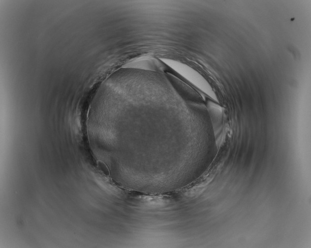 X0000112770524200909031613