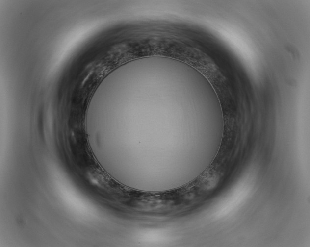 X0000112770526200909031613