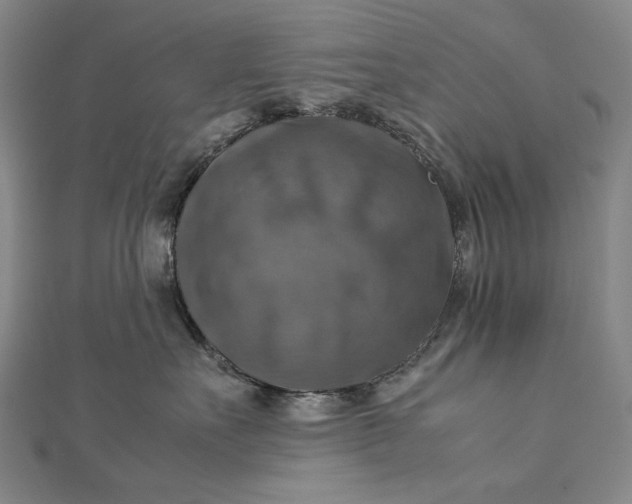 X0000112770527200909031613