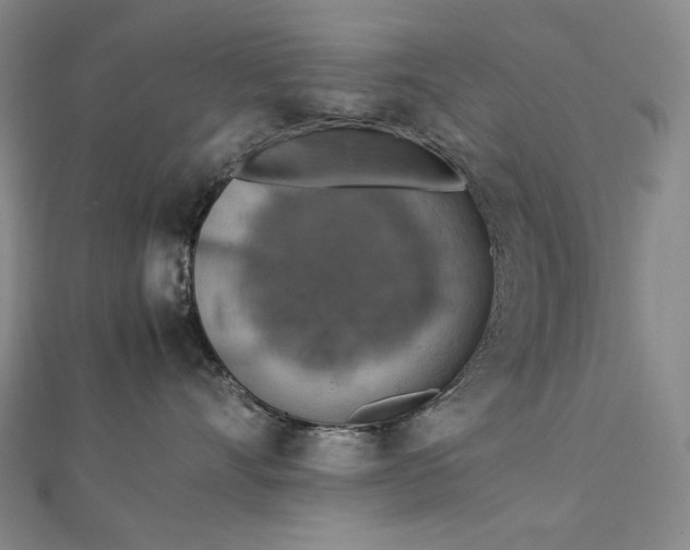 X0000112770528200909031613