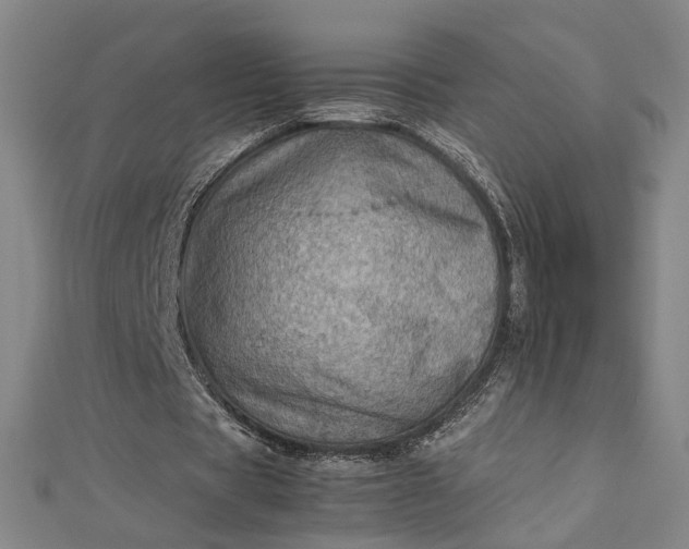 X0000112770529200909031613