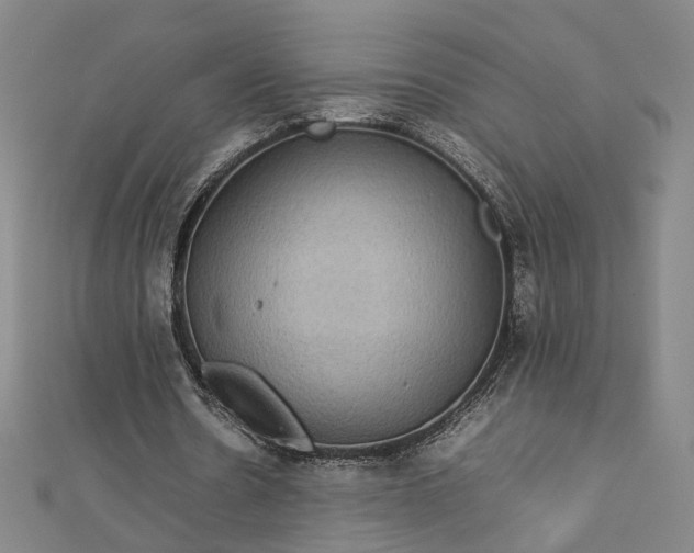 X0000112770530200909031613