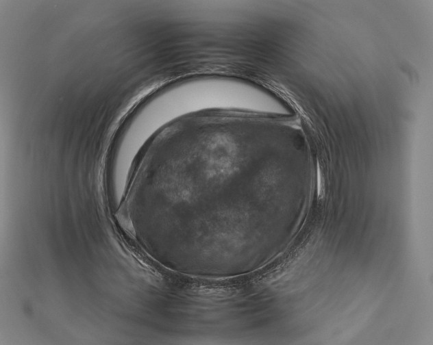 X0000112770531200909031613